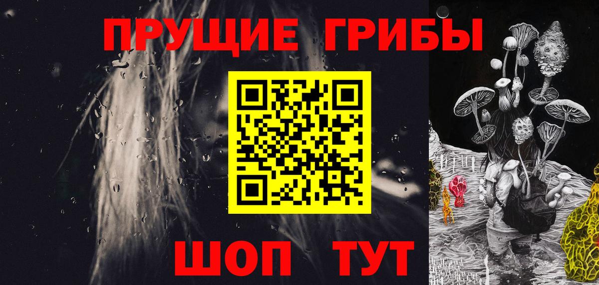 Сергиев Посад  Псилоцибиновые грибы прущие грибы  Вход с VPN  Псилоцибиновые грибы мухоморы 
