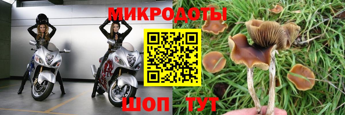 Псилоцибиновые грибы ЛСД Сергиев Посад